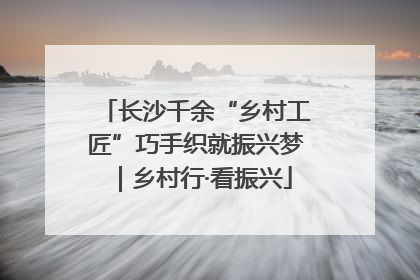 长沙千余“乡村工匠”巧手织就振兴梦｜乡村行·看振兴