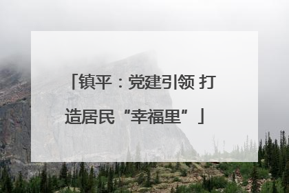 镇平：党建引领 打造居民“幸福里”