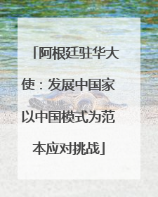 阿根廷驻华大使：发展中国家以中国模式为范本应对挑战