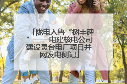 陇电入鲁“树丰碑”——电建核电公司建设灵台电厂项目并网发电侧记