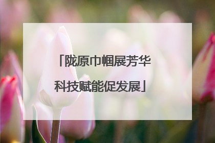 陇原巾帼展芳华 科技赋能促发展