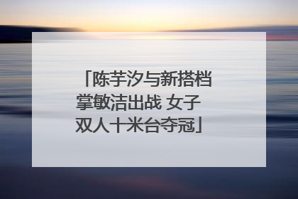 陈芋汐与新搭档掌敏洁出战 女子双人十米台夺冠