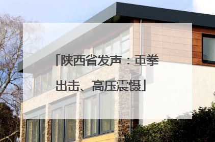 陕西省发声：重拳出击、高压震慑