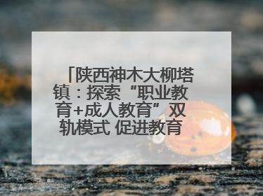 陕西神木大柳塔镇：探索“职业教育+成人教育”双轨模式 促进教育融合发展