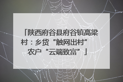 陕西府谷县府谷镇高梁村：乡货“触网出村” 农户“云端致富”