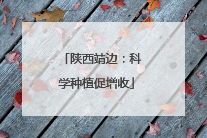 陕西靖边：科学种植促增收