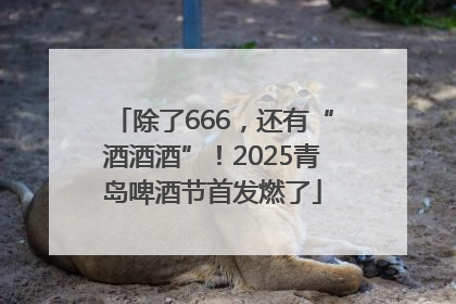 除了666，还有“酒酒酒”！2025青岛啤酒节首发燃了