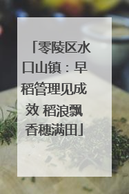 零陵区水口山镇：早稻管理见成效 稻浪飘香穗满田
