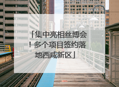 集中亮相丝博会！多个项目签约落地西咸新区