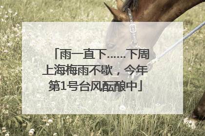 雨一直下……下周上海梅雨不歇，今年第1号台风酝酿中