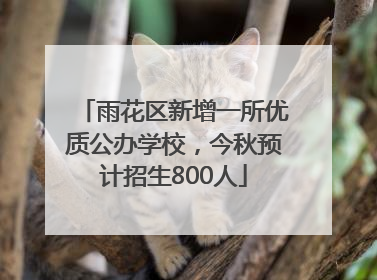 雨花区新增一所优质公办学校，今秋预计招生800人