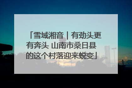雪域湘音｜有劲头更有奔头 山南市桑日县的这个村落迎来蜕变