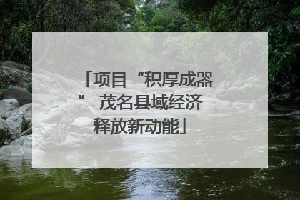项目“积厚成器” 茂名县域经济释放新动能