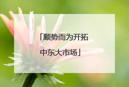 顺势而为开拓中东大市场
