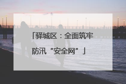 驿城区：全面筑牢防汛“安全网”