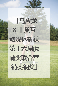 马应龙 X 丰巢互动媒体斩获第十六届虎啸奖联合营销类铜奖