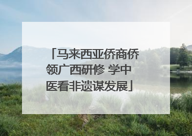 马来西亚侨商侨领广西研修 学中医看非遗谋发展