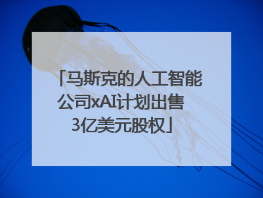马斯克的人工智能公司xAI计划出售3亿美元股权
