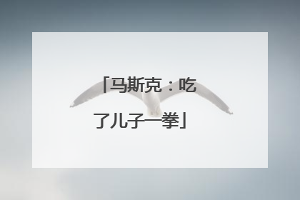 马斯克：吃了儿子一拳
