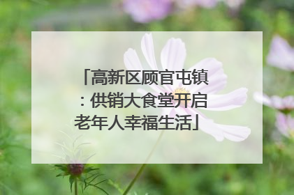 高新区顾官屯镇：供销大食堂开启老年人幸福生活