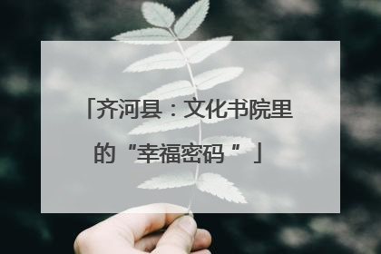 齐河县：文化书院里的“幸福密码 ”