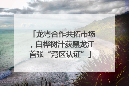 龙粤合作共拓市场，白桦树汁获黑龙江首张“湾区认证”