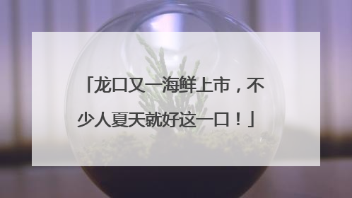 龙口又一海鲜上市，不少人夏天就好这一口！