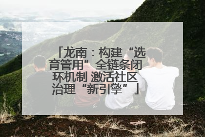 龙南：构建“选育管用”全链条闭环机制 激活社区治理“新引擎”