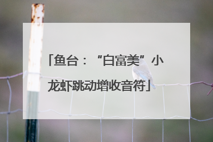 鱼台：“白富美”小龙虾跳动增收音符