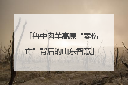 鲁中肉羊高原“零伤亡”背后的山东智慧