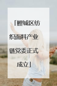 鲤城区纺织面料产业链党委正式成立