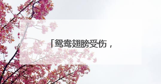 鸳鸯翅膀受伤，他们及时救助