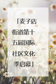 麦子店街道第十五届国际社区文化季启幕
