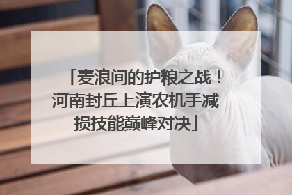 麦浪间的护粮之战！河南封丘上演农机手减损技能巅峰对决