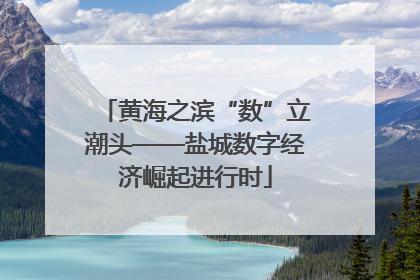 黄海之滨“数”立潮头——盐城数字经济崛起进行时