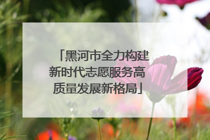 黑河市全力构建新时代志愿服务高质量发展新格局