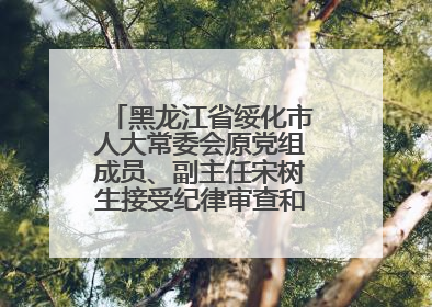 黑龙江省绥化市人大常委会原党组成员、副主任宋树生接受纪律审查和监察调查