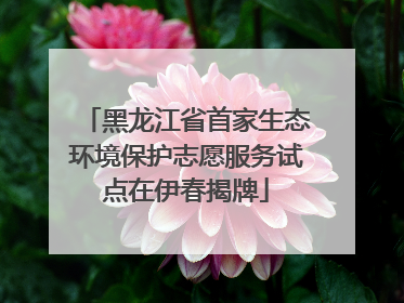 黑龙江省首家生态环境保护志愿服务试点在伊春揭牌