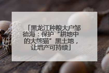 黑龙江种粮大户邹德海：保护“耕地中的大熊猫”黑土地，让增产可持续