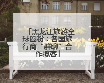 黑龙江旅游全球圈粉：各国旅行商“群聊”合作揽客