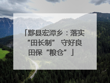 黟县宏潭乡：落实“田长制” 守好良田保“粮仓”