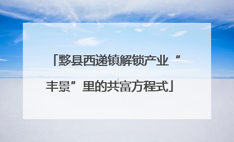 黟县西递镇解锁产业“丰景”里的共富方程式