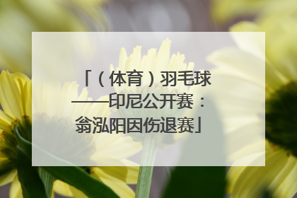 （体育）羽毛球——印尼公开赛：翁泓阳因伤退赛