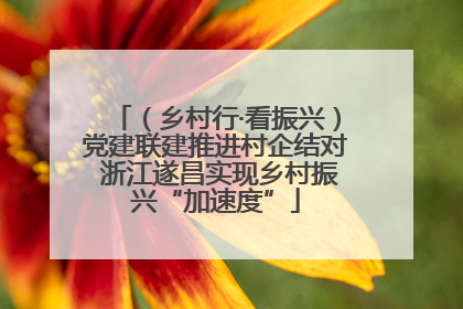 （乡村行·看振兴）党建联建推进村企结对 浙江遂昌实现乡村振兴“加速度”