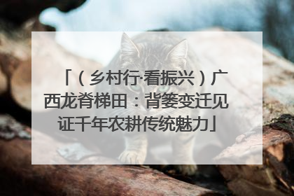 （乡村行·看振兴）广西龙脊梯田：背篓变迁见证千年农耕传统魅力
