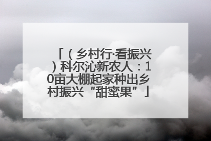 （乡村行·看振兴）科尔沁新农人：10亩大棚起家种出乡村振兴“甜蜜果”