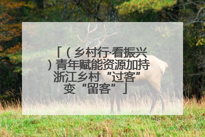 （乡村行·看振兴）青年赋能资源加持 浙江乡村“过客”变“留客”