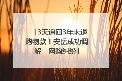 3天追回3年未退购物款！安岳成功调解一网购纠纷
