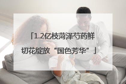 1.2亿枝菏泽芍药鲜切花绽放“国色芳华”