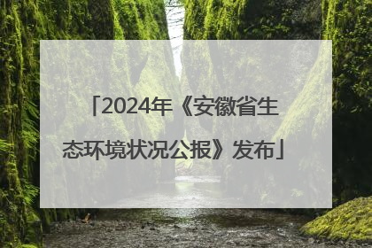 2024年《安徽省生态环境状况公报》发布